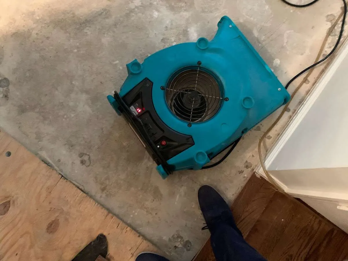 Air mover drying subfloor during Commercial Water Damage Restoration in Lake Stickney